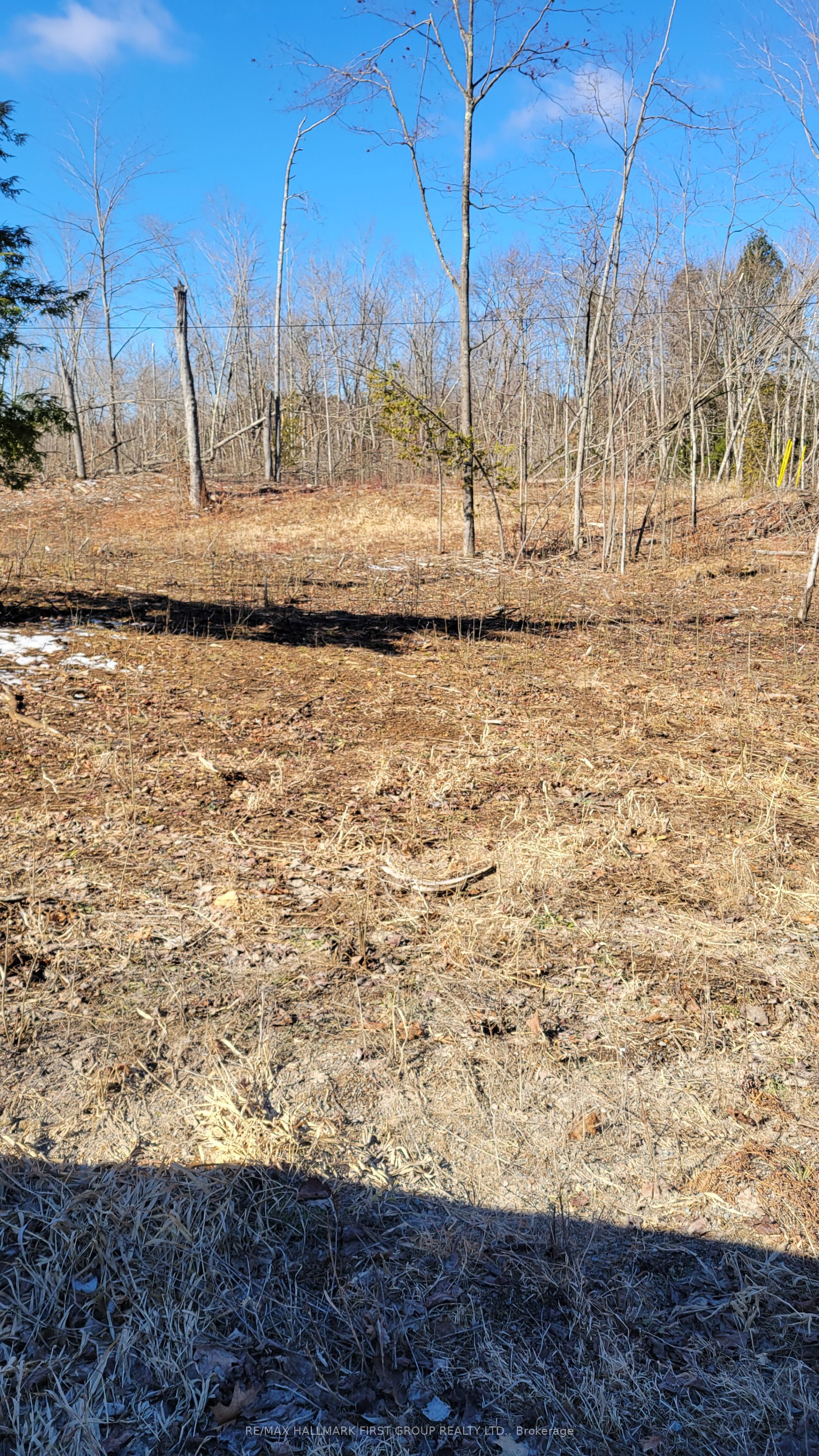 N/a Black River Road Property Photo 5
