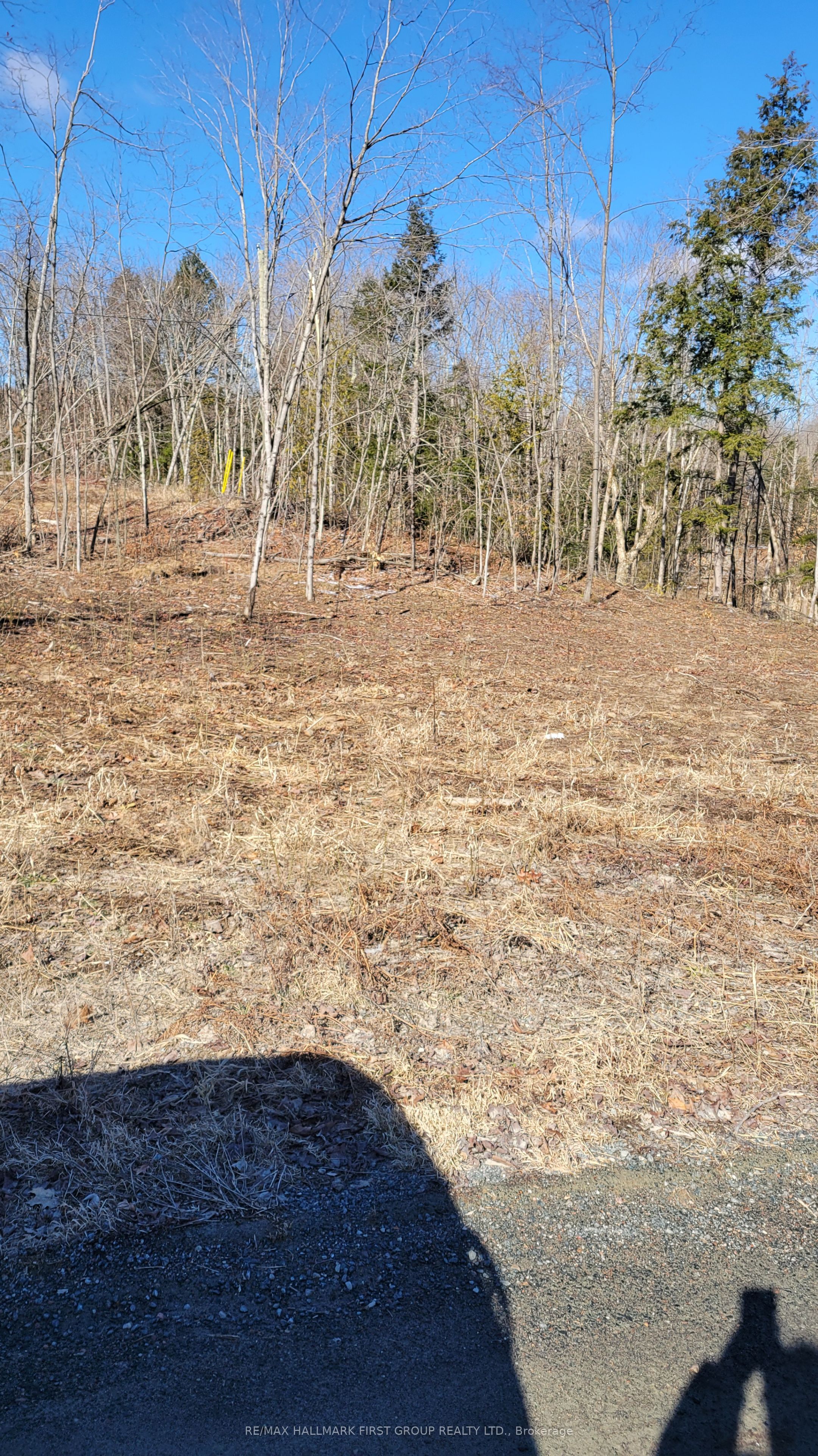 N/a Black River Road Property Photo 6