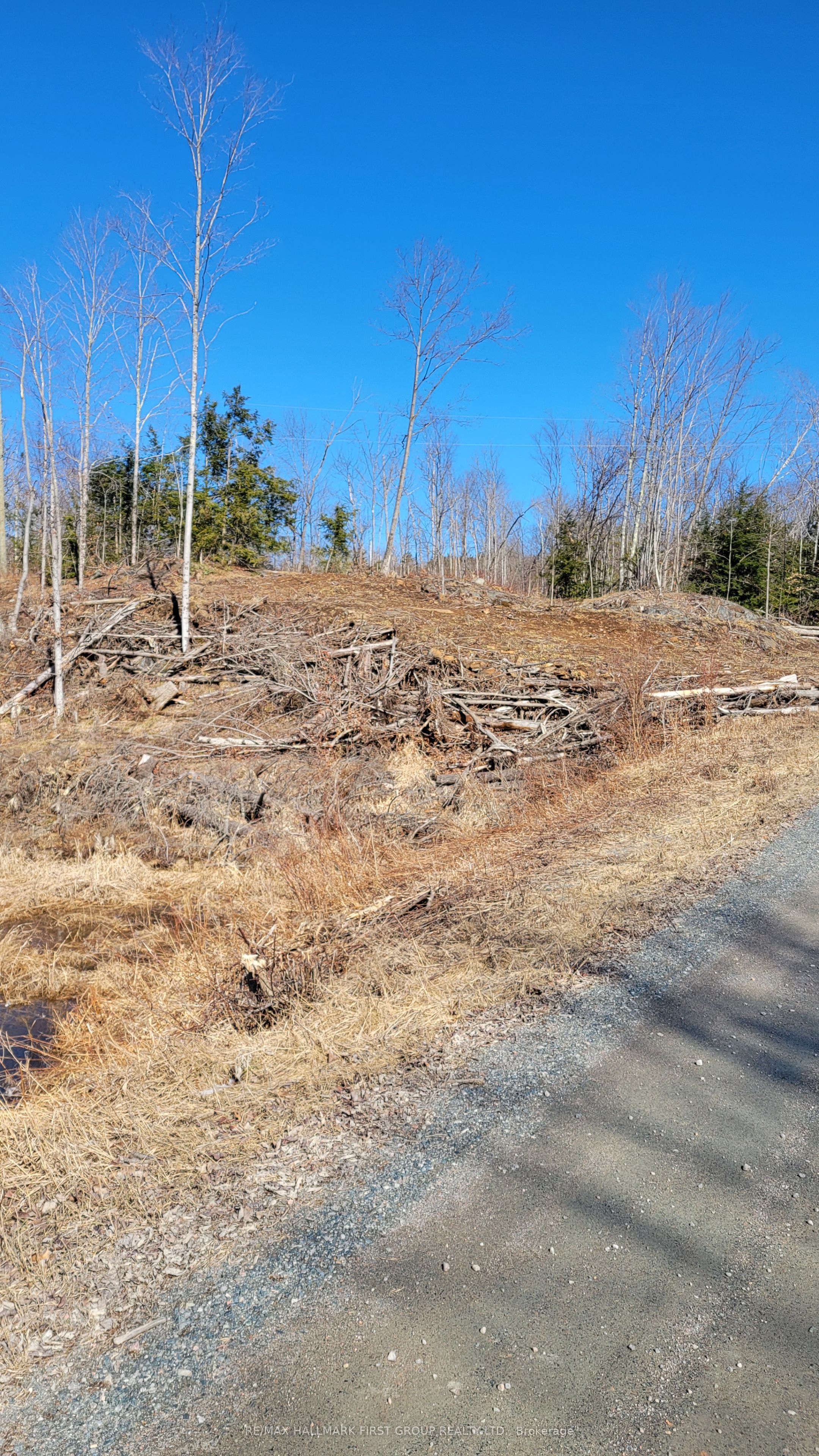 N/a Black River Road Property Photo 7