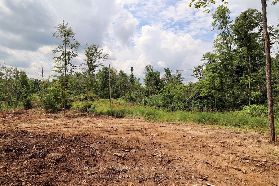 N/a Black River Road Property Photo 8