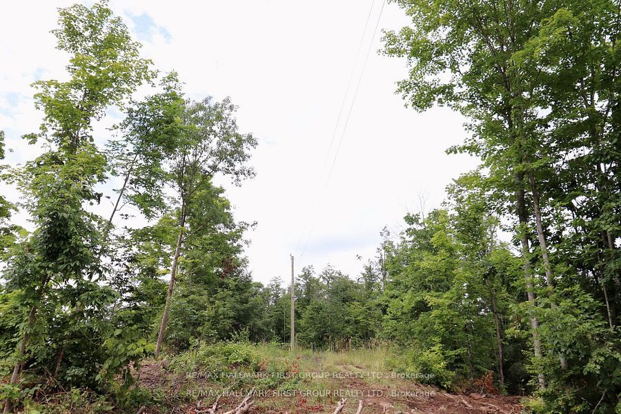 N/a Black River Road Property Photo 9