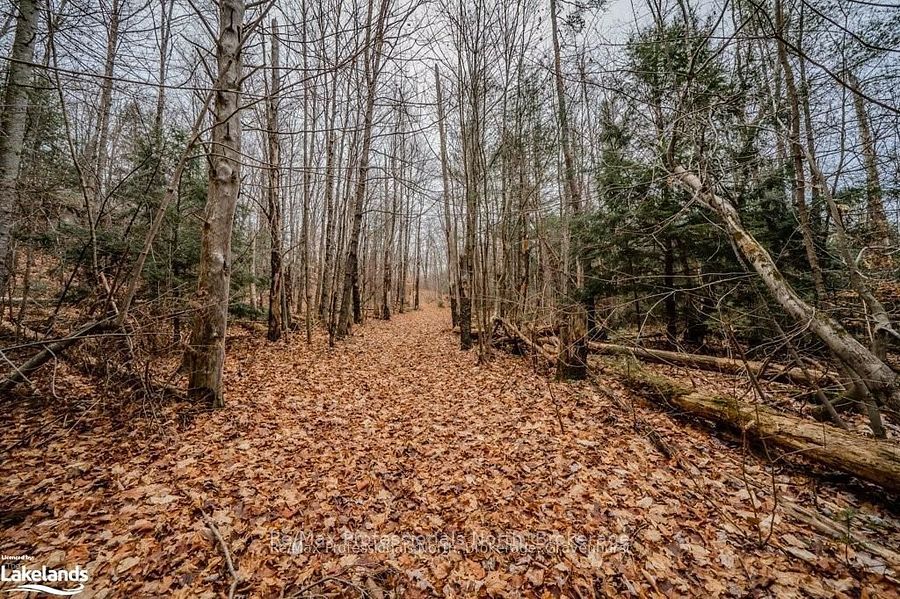 2180-2186 141 Highway Property Photo 23