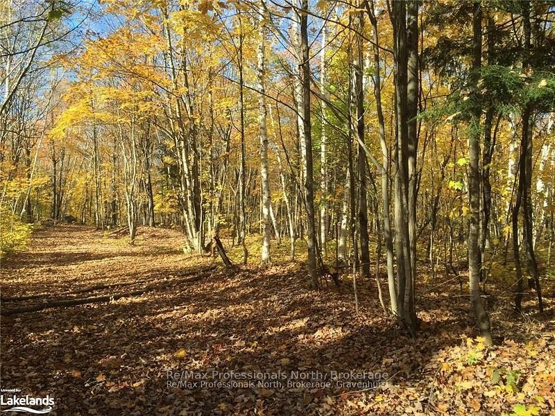 2180-2186 141 Highway Property Photo 24