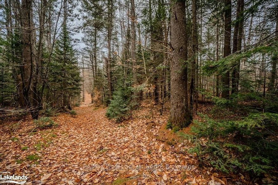 2180-2186 141 Highway Property Photo 26