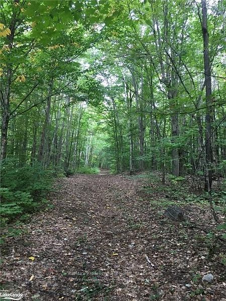 2180-2186 141 Highway Property Photo 27