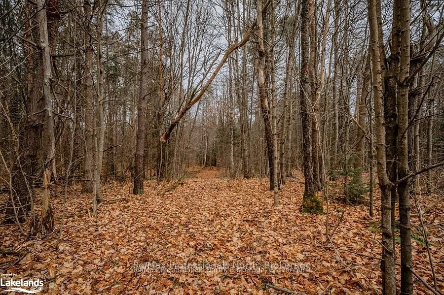 2180-2186 141 Highway Property Photo 28