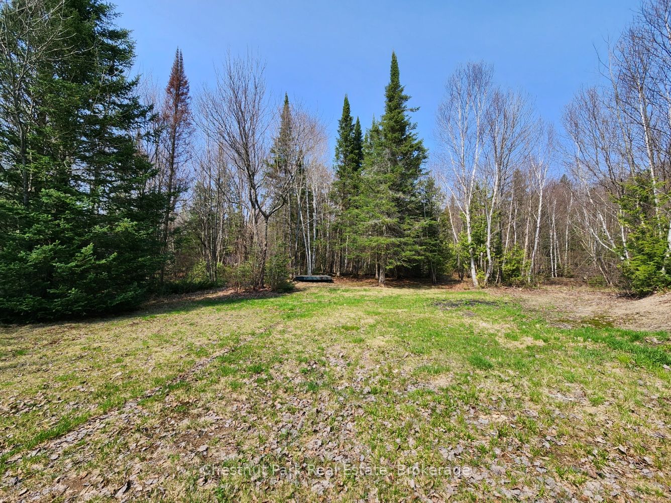 730 Echo Ridge Road Property Photo 7