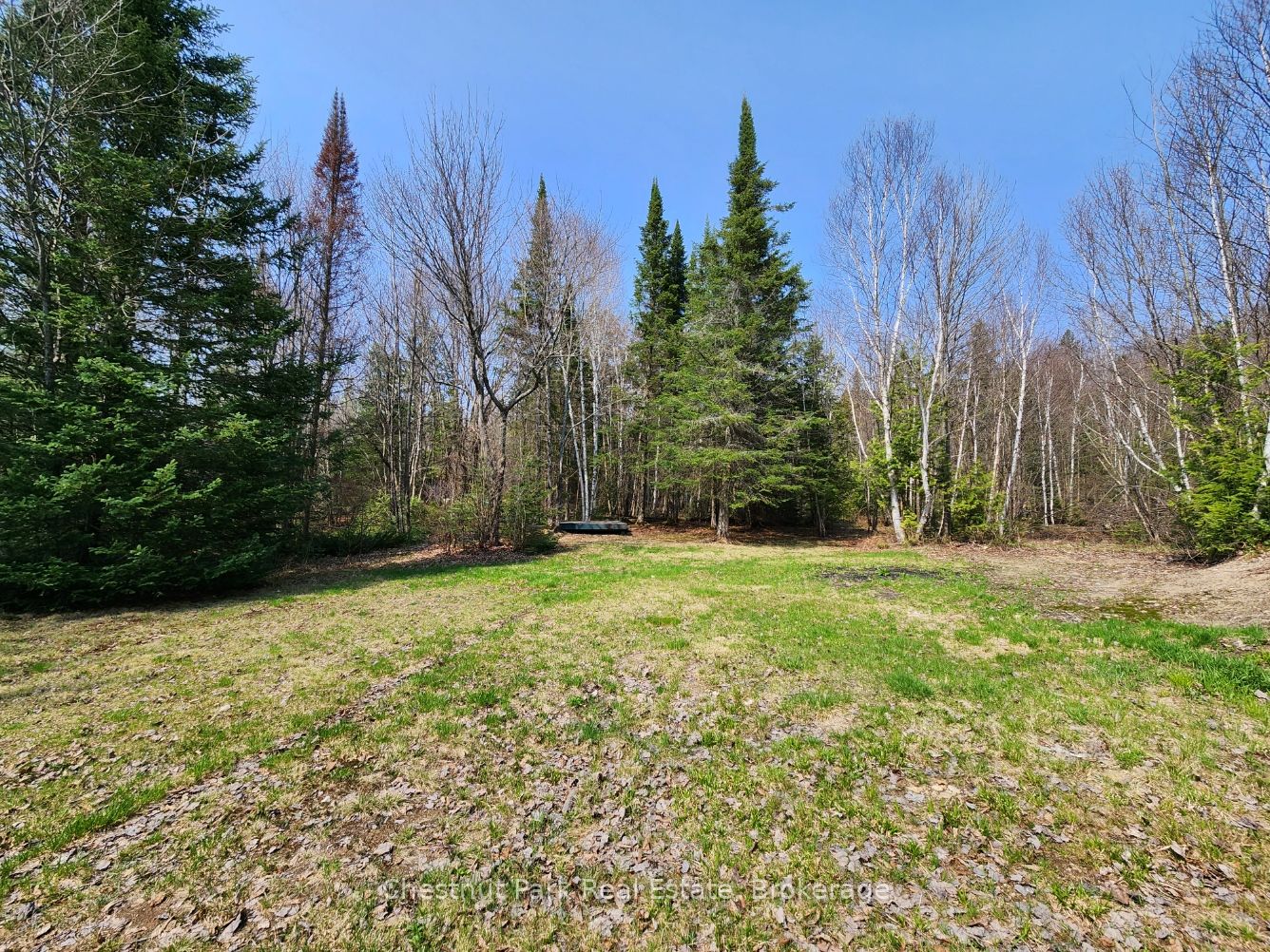 730 Echo Ridge Road Property Photo 8