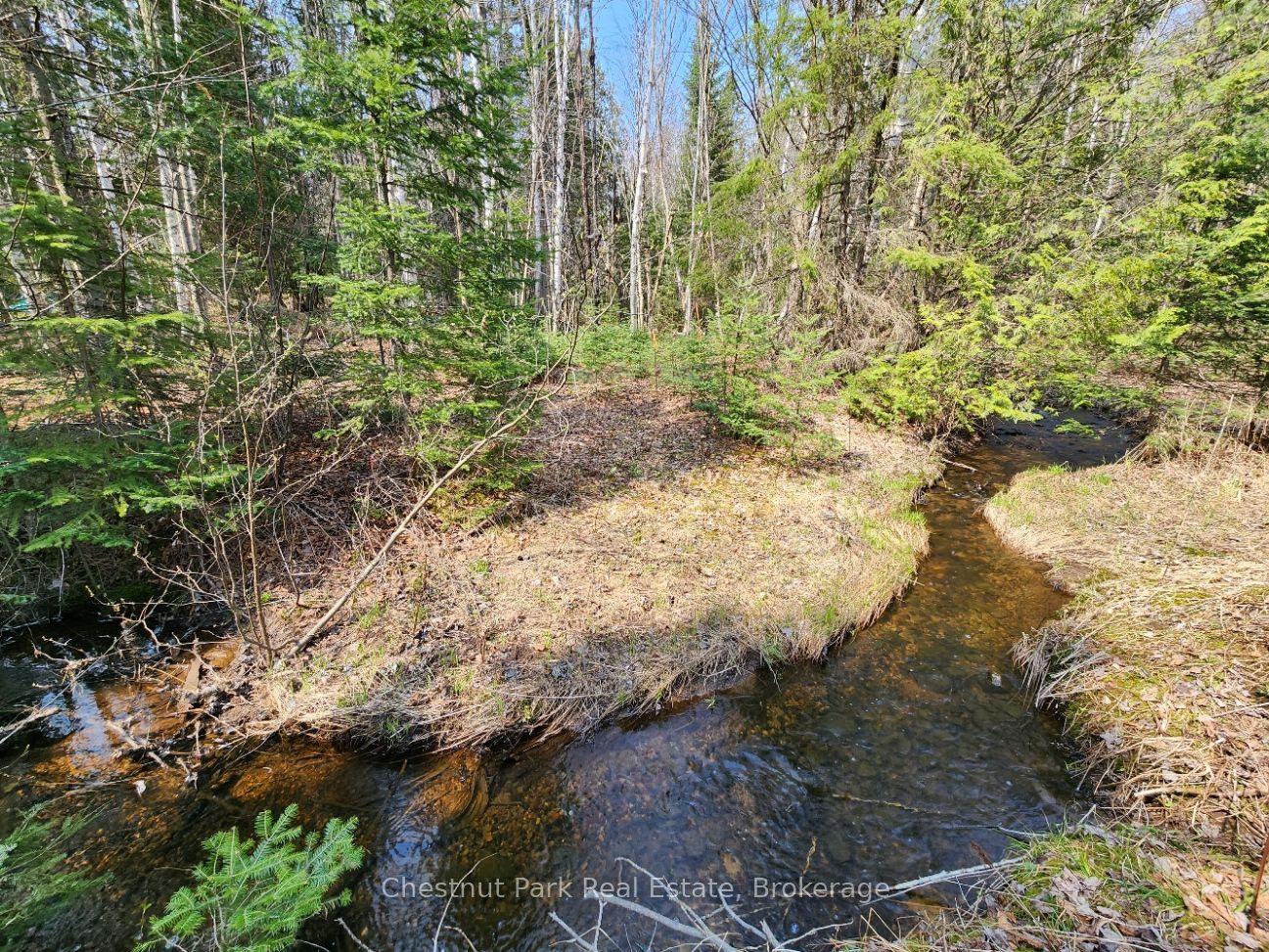 730 Echo Ridge Road Property Photo 11
