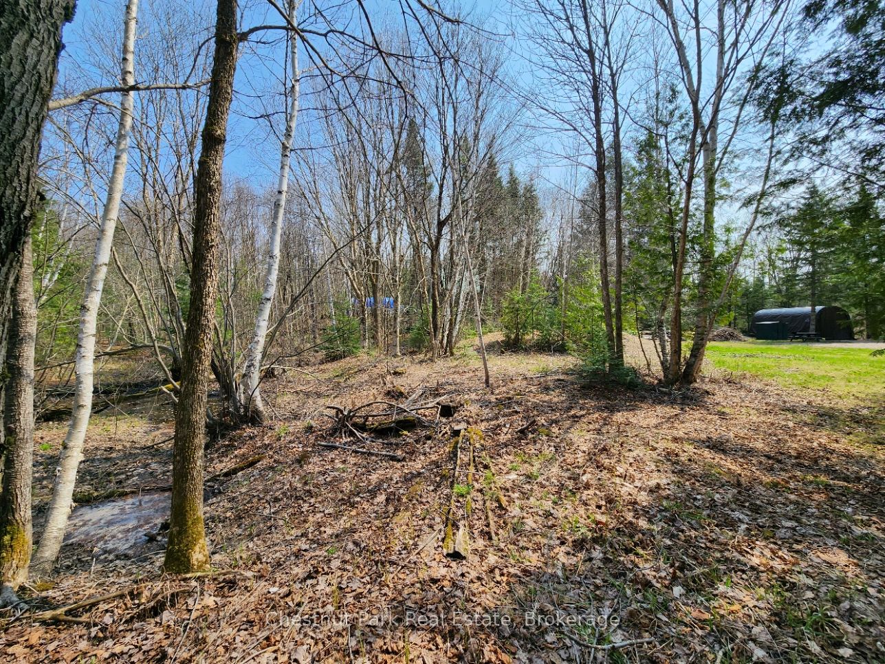 730 Echo Ridge Road Property Photo 12