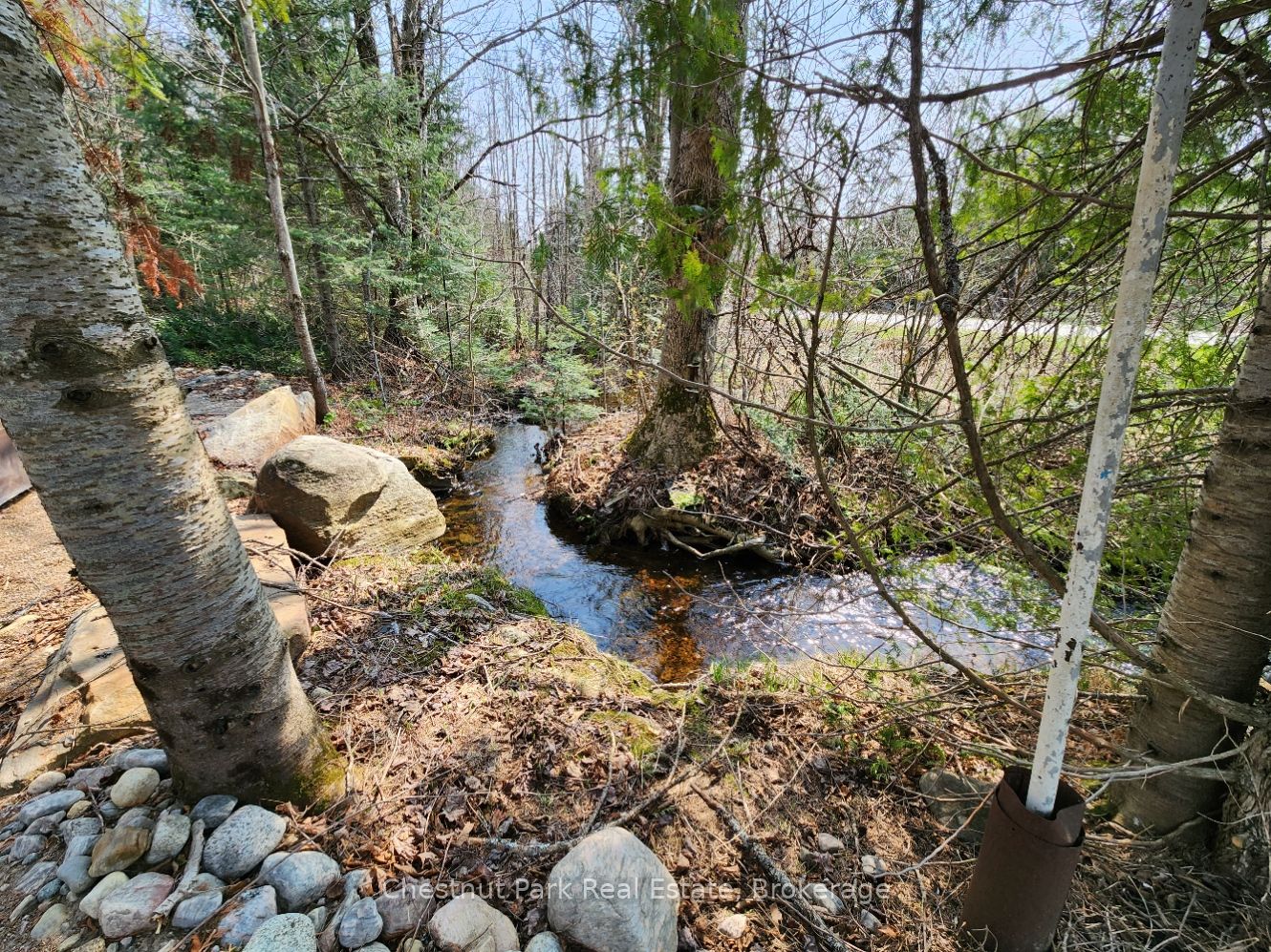 730 Echo Ridge Road Property Photo 15