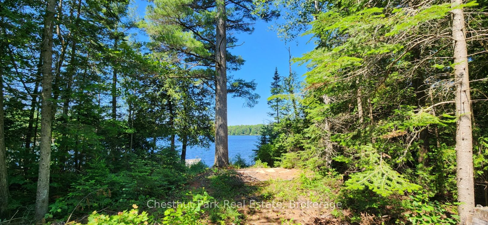 730 Echo Ridge Road Property Photo 22