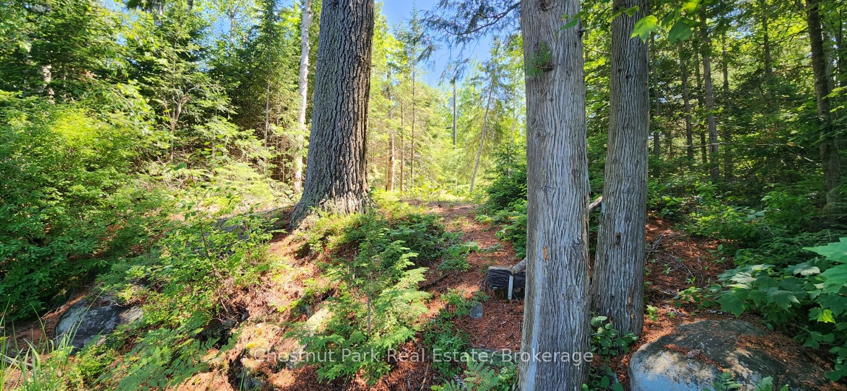 730 Echo Ridge Road Property Photo 26
