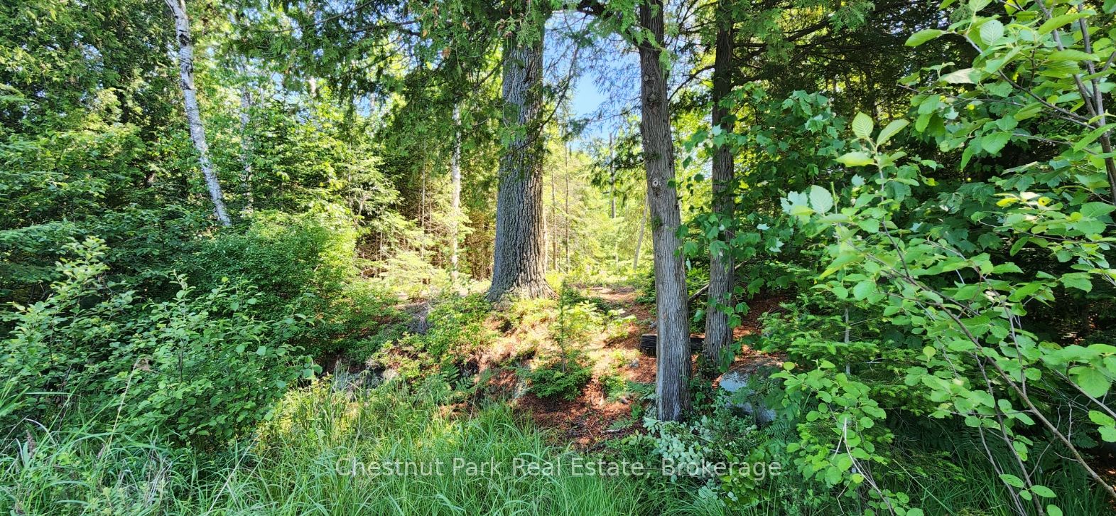 730 Echo Ridge Road Property Photo 32