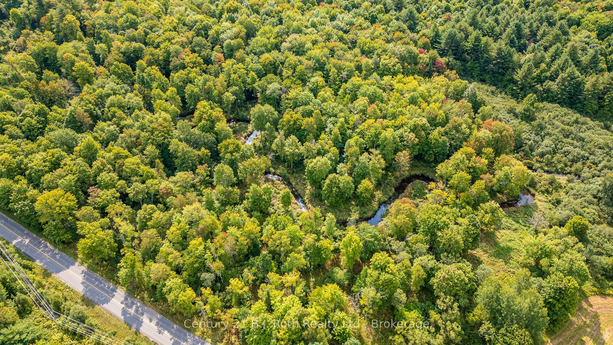 Lot 20 Beiers Road Property Photo 2