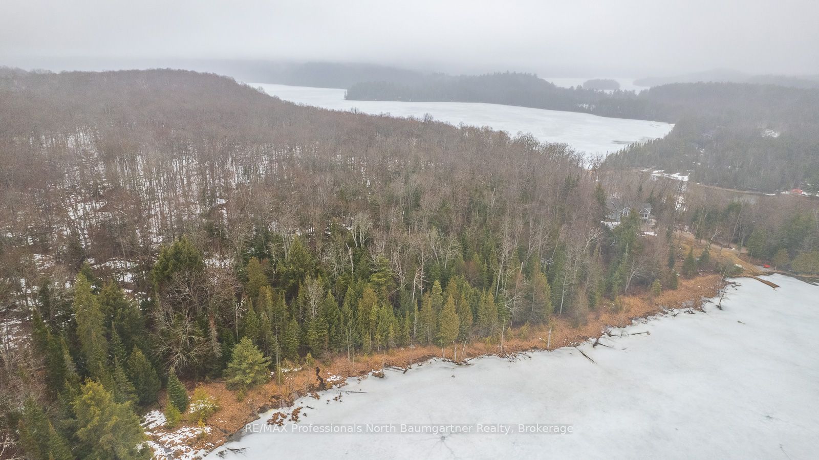 0 Grace River Road Property Photo 7