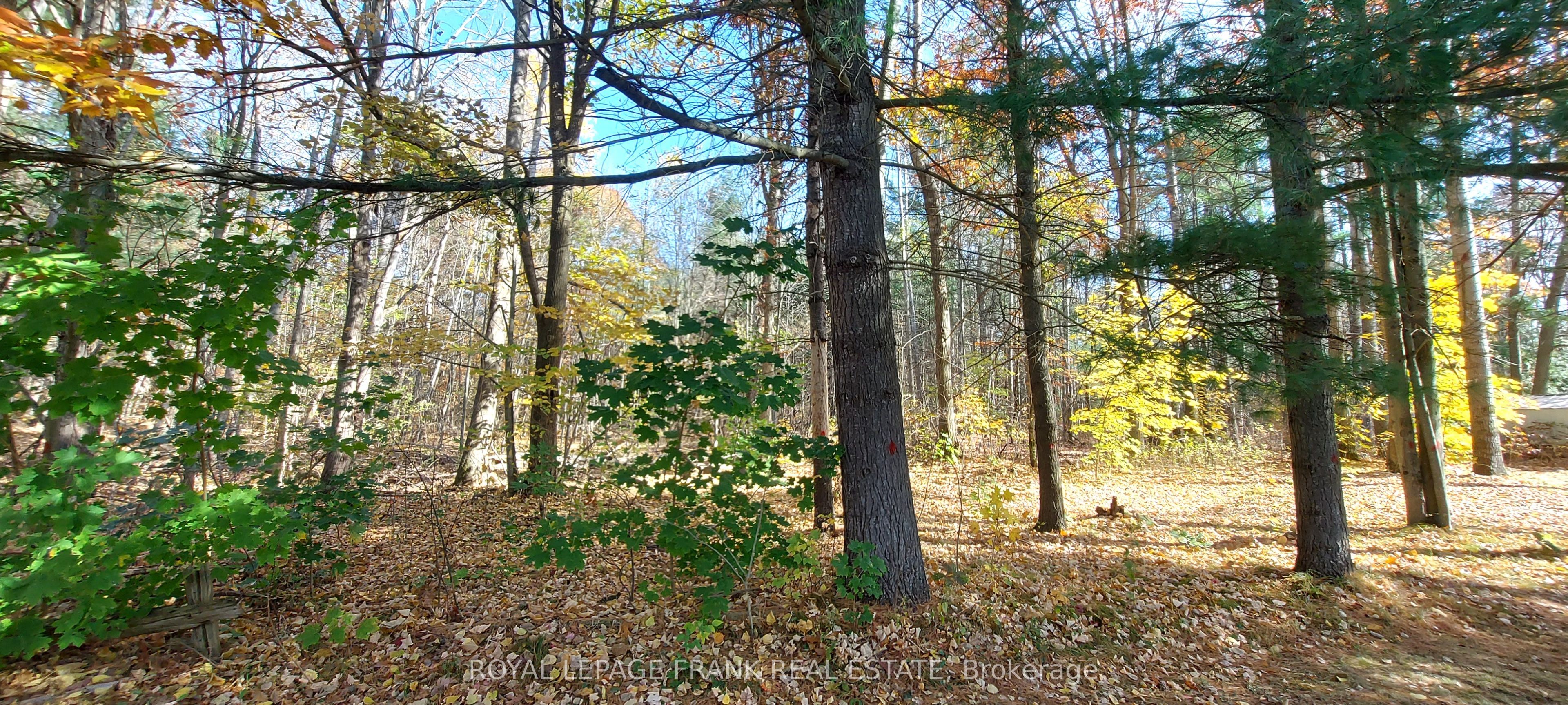 83 Belmont Street Property Photo 22