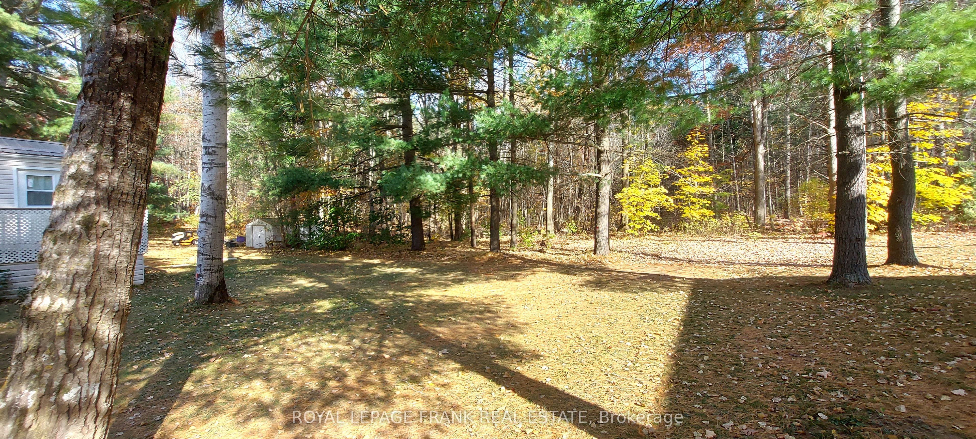 83 Belmont Street Property Photo 23