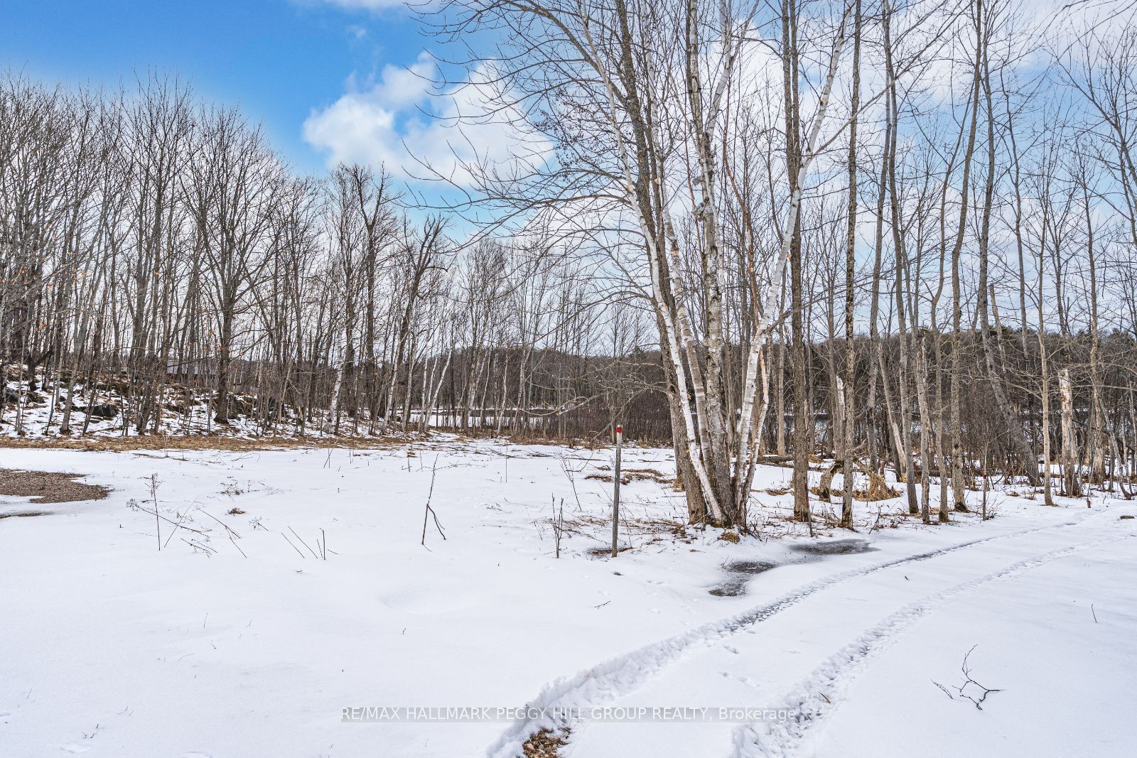 91b Highway 124 Property Photo 2