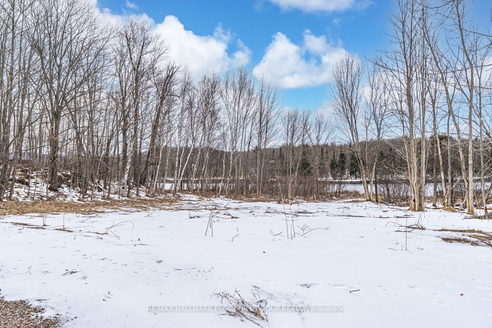 91b Highway 124 Property Photo 3