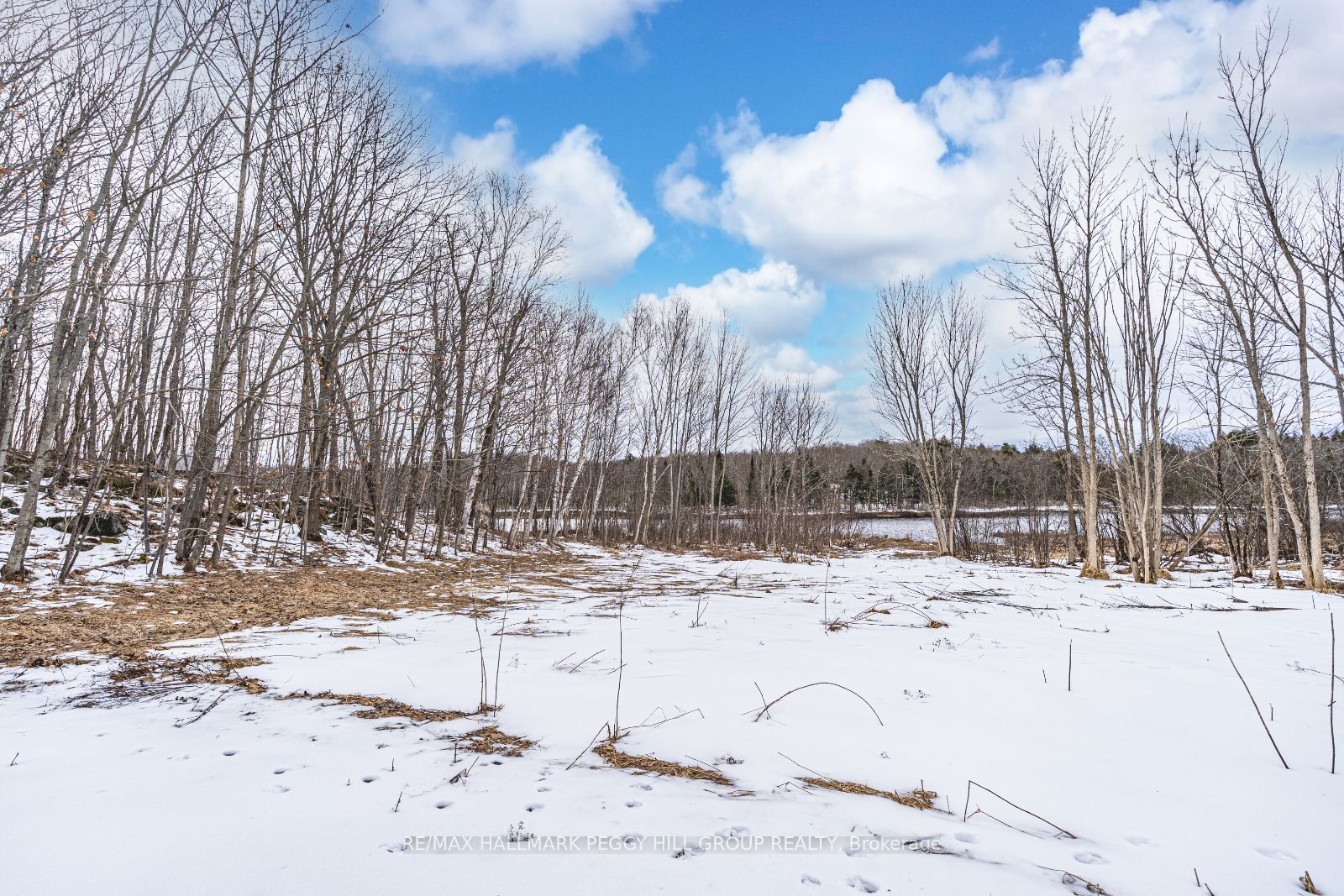 91b Highway 124 Property Photo 4