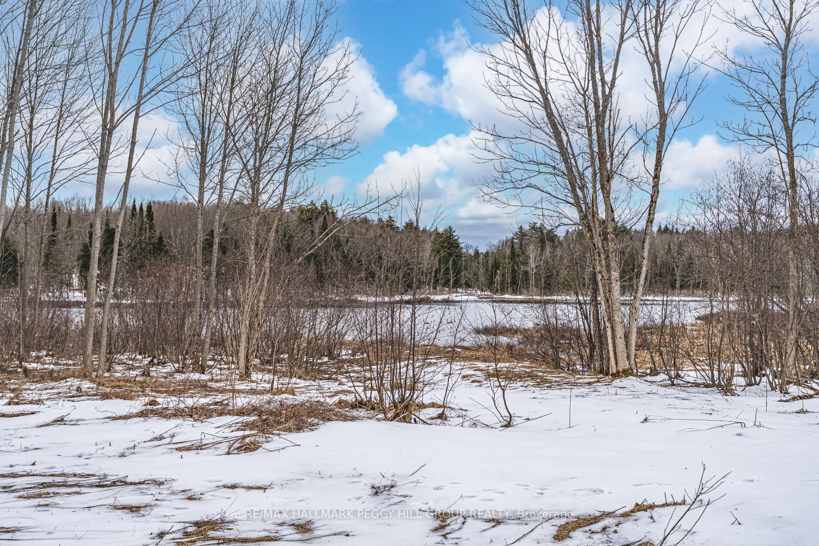 91b Highway 124 Property Photo 5