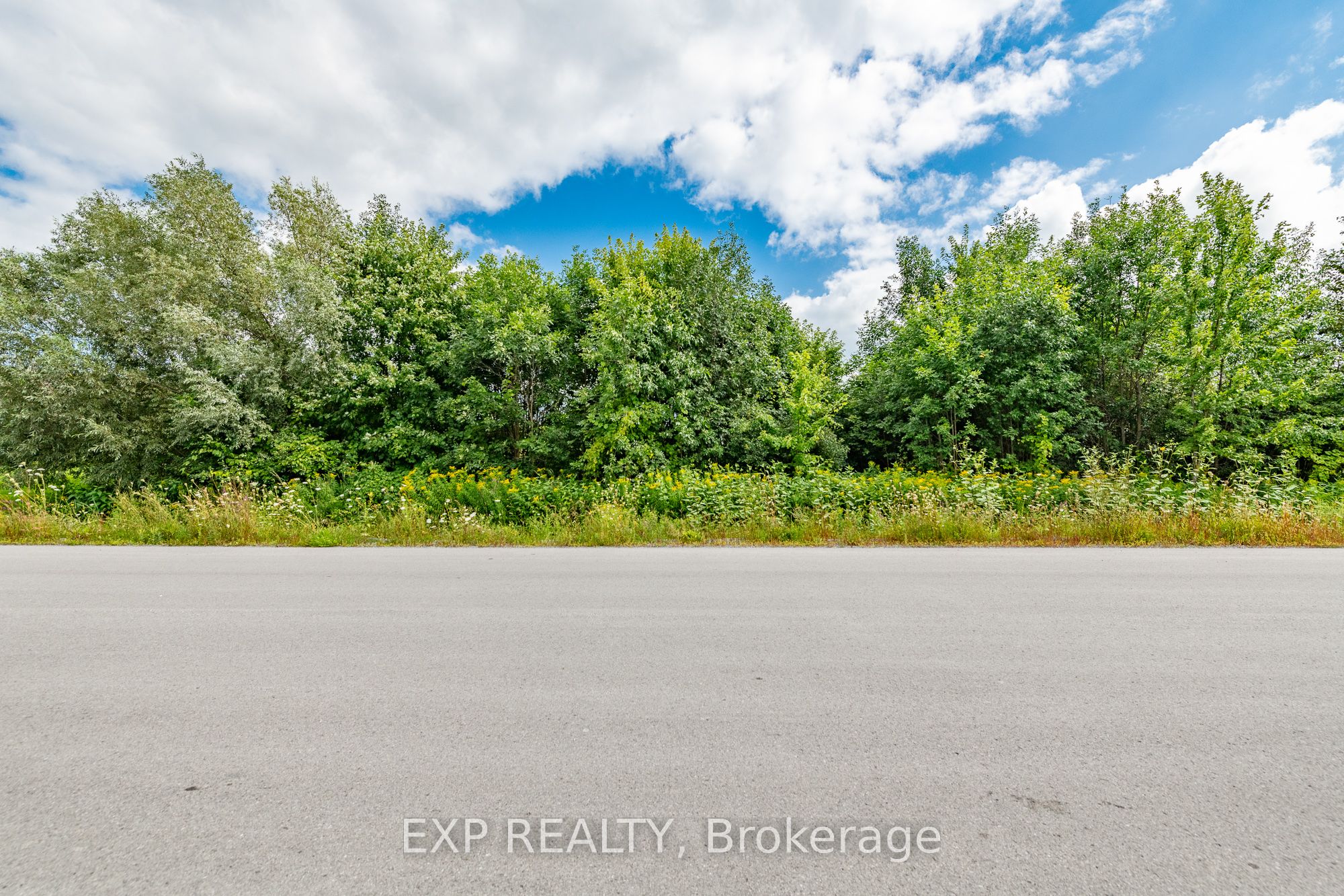 496 Tullamore Street Property Photo 4