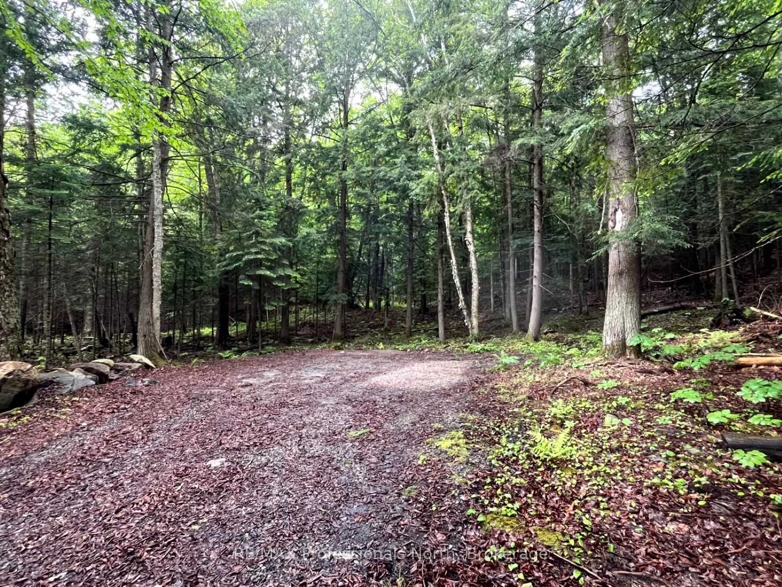 Tbd County 21 Road Property Photo