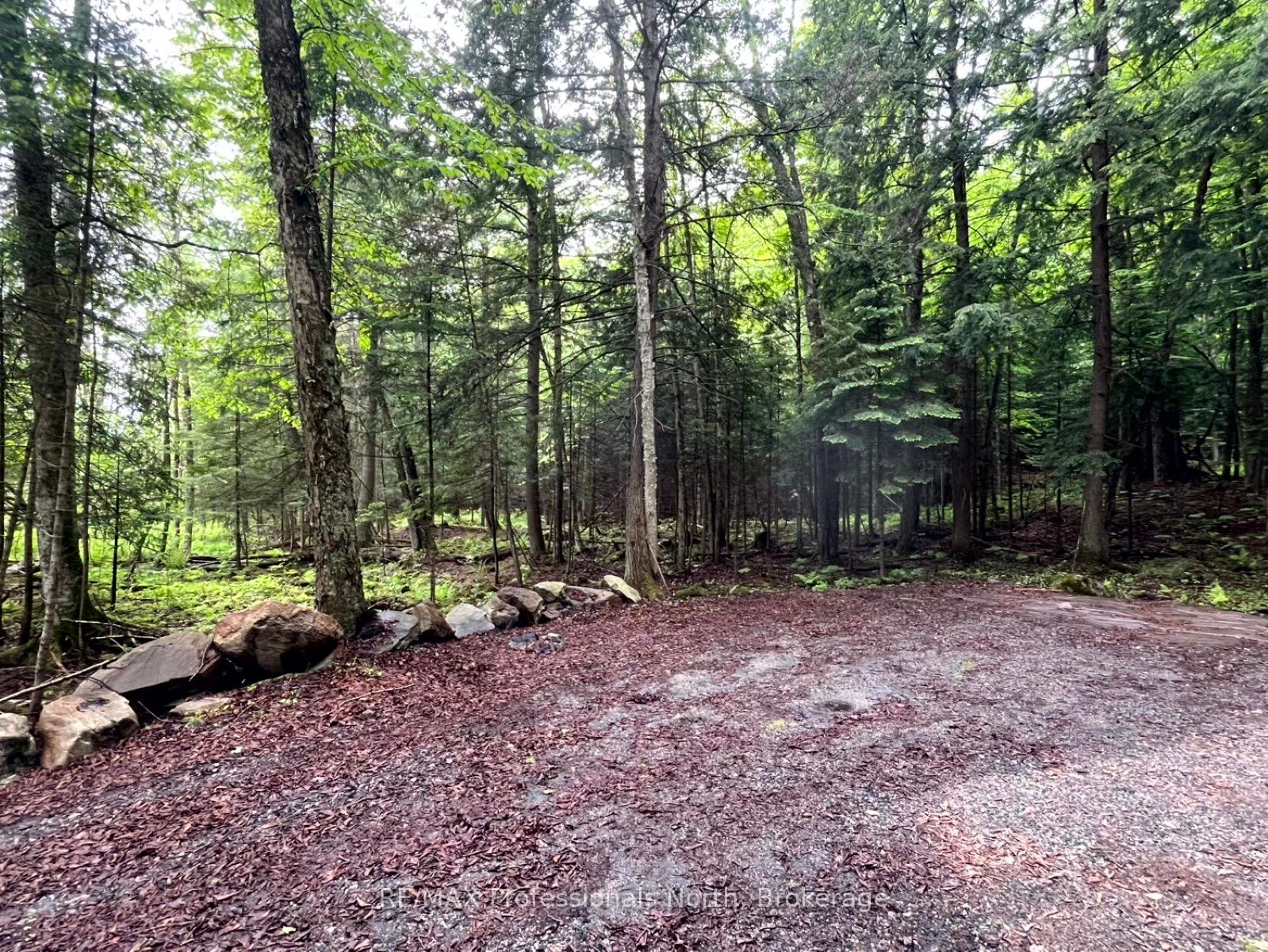 Tbd County 21 Road Property Photo 2