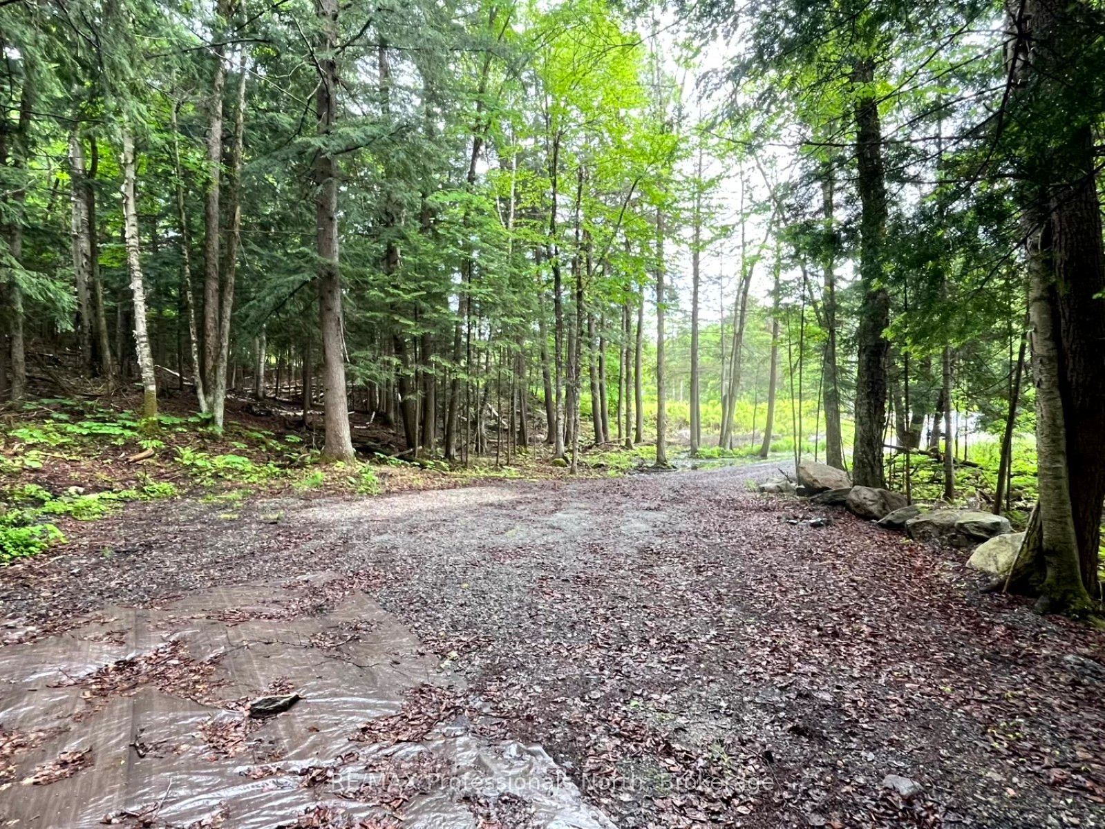 Tbd County 21 Road Property Photo 4
