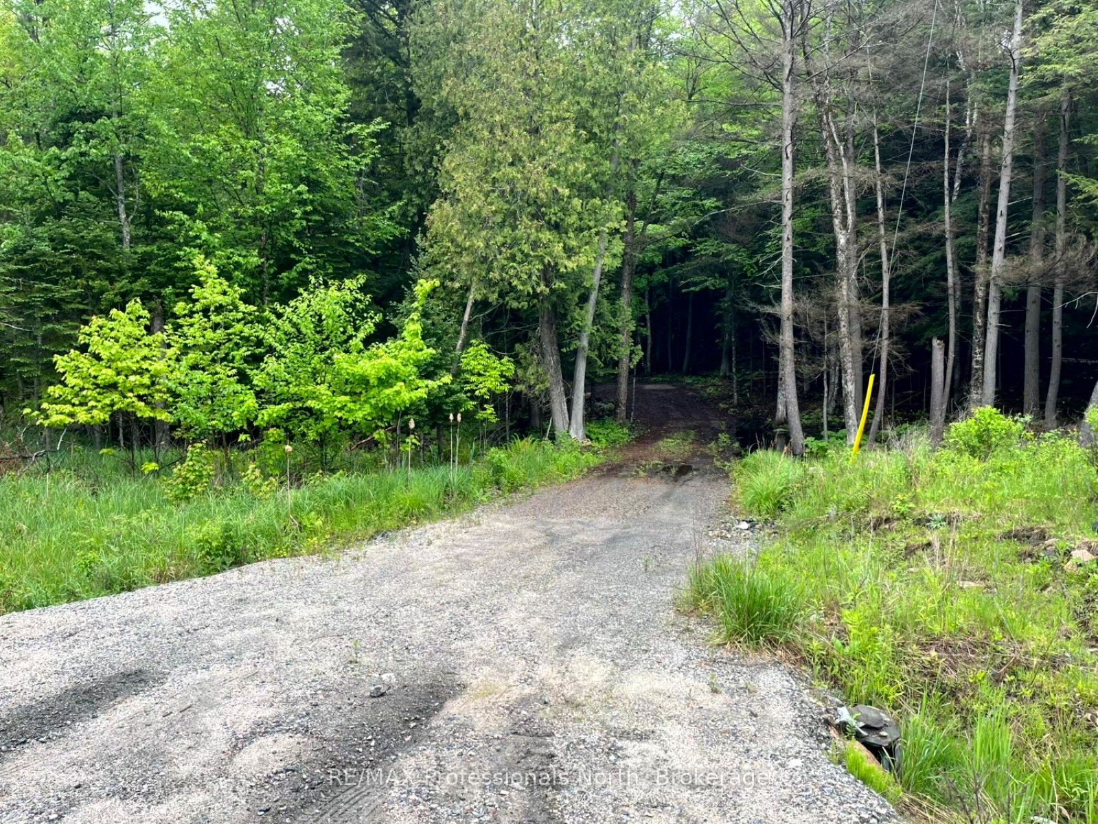 Tbd County 21 Road Property Photo 9