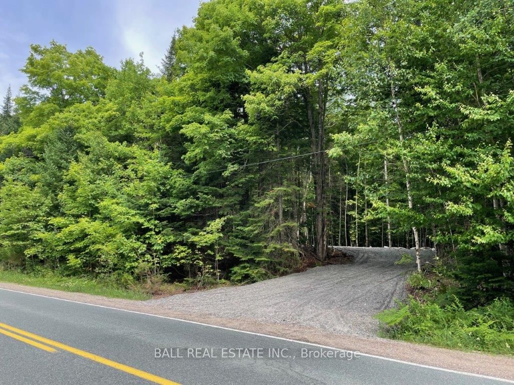 1350 Haliburton Lake Rd Property Photo 1