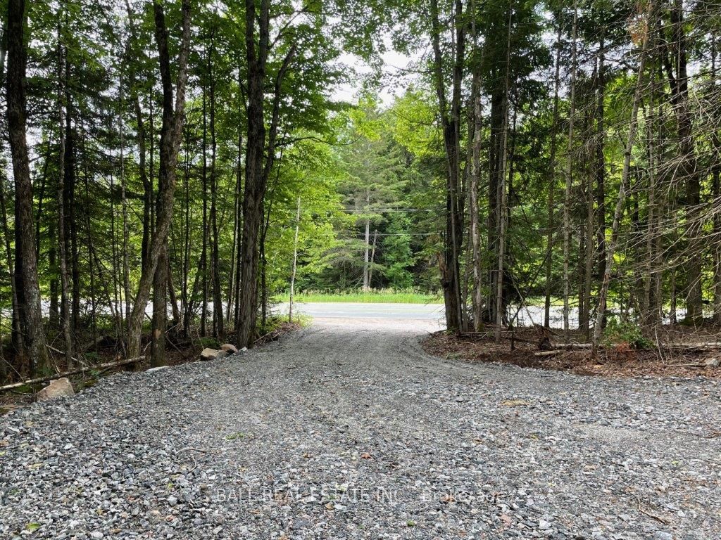 1350 Haliburton Lake Rd Property Photo 3