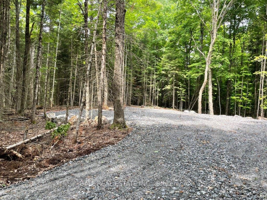 1350 Haliburton Lake Rd Property Photo 4