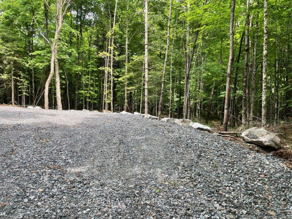 1350 Haliburton Lake Rd Property Photo 5