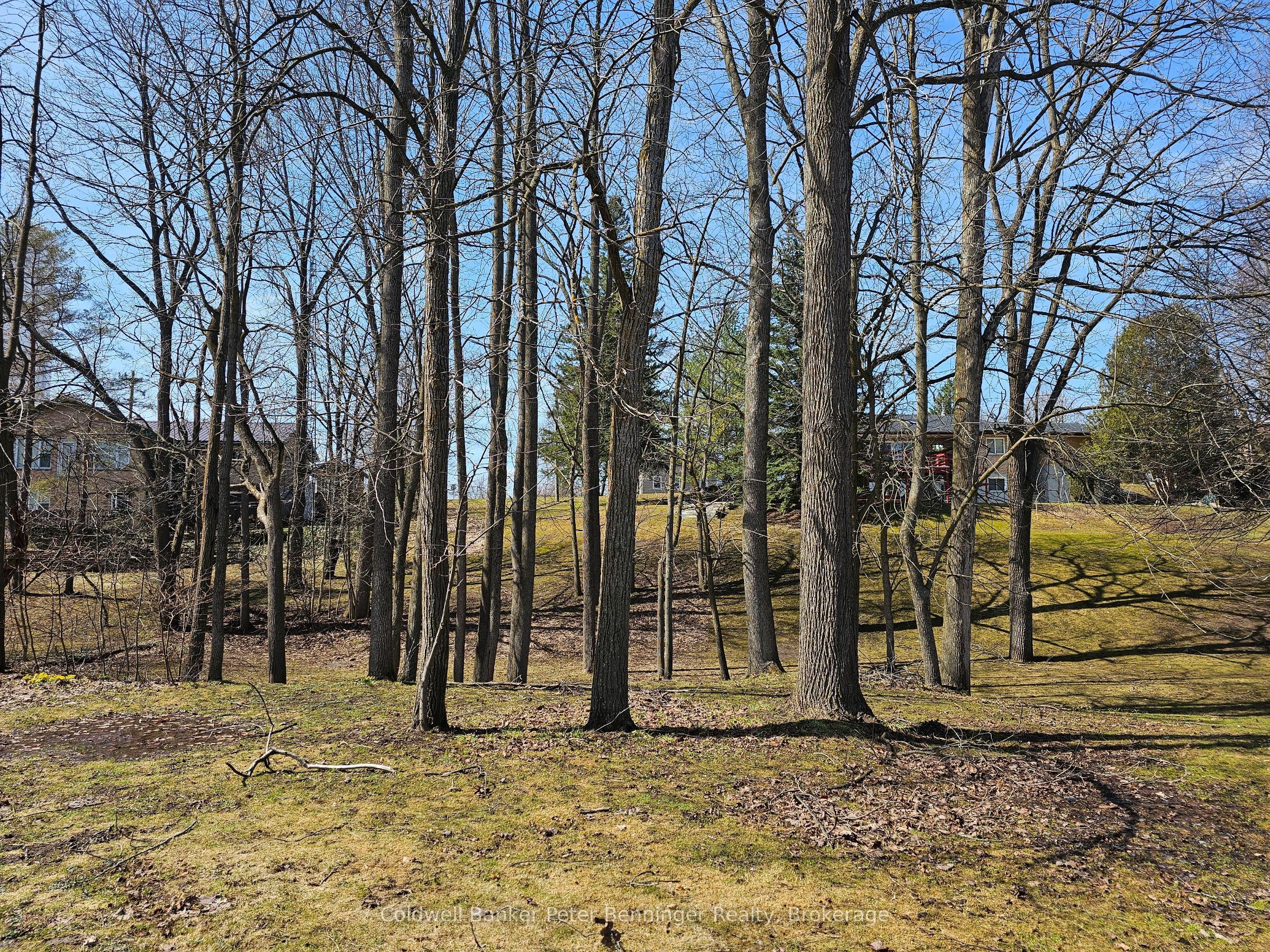 Part 1 George Street Property Photo 7