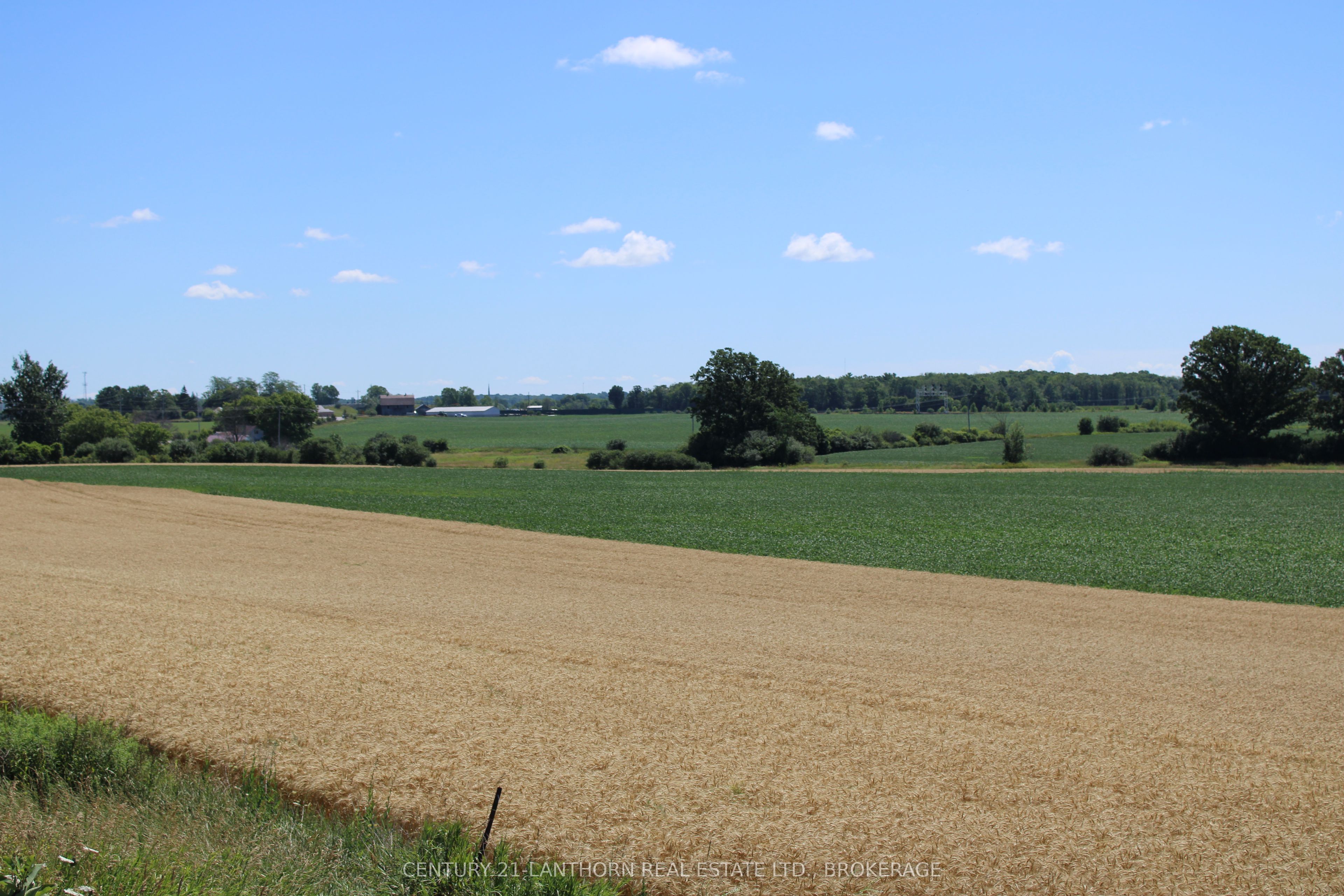 Lt15-16 County Road 1 Property Photo 2