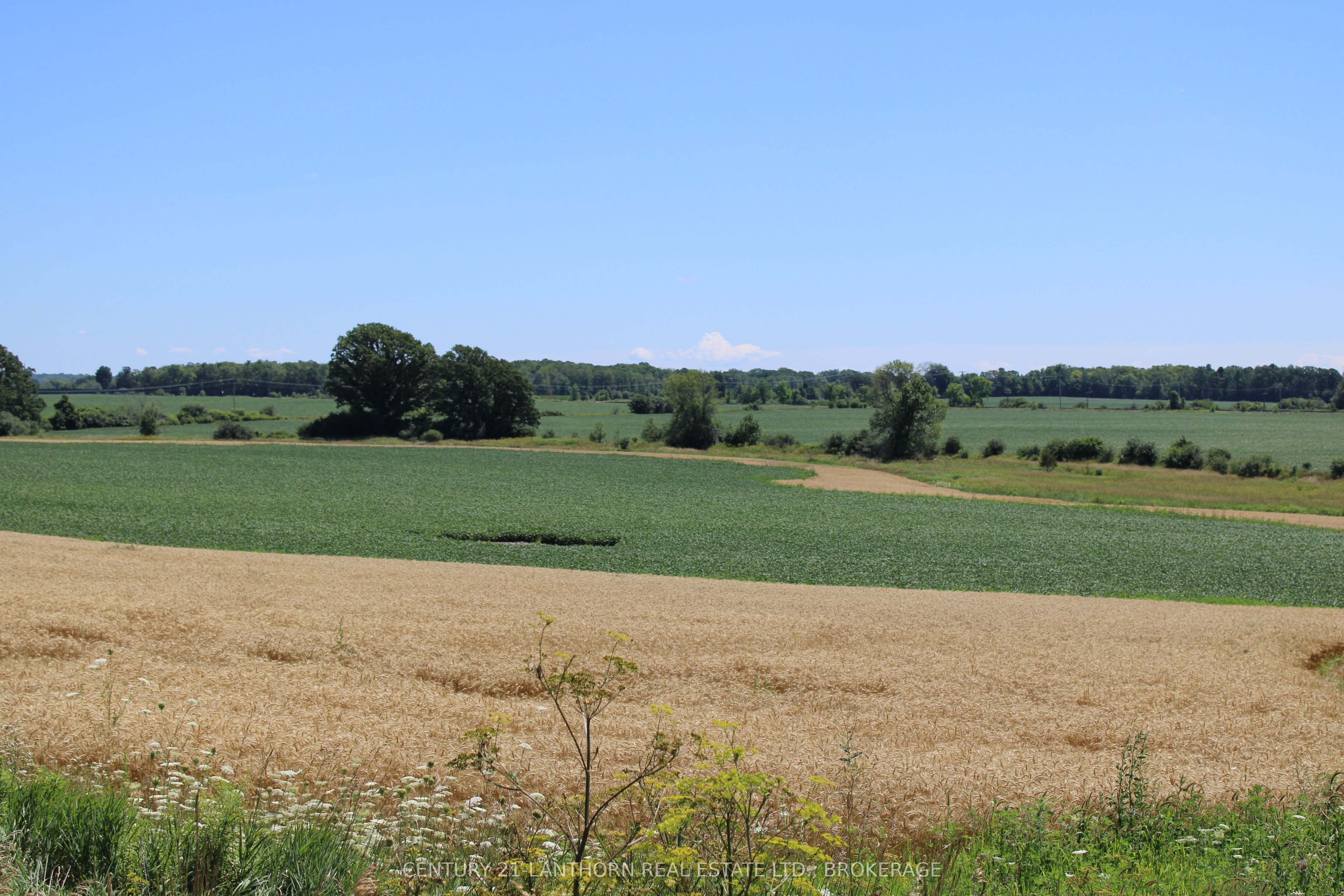 Lt15-16 County Road 1 Property Photo 3