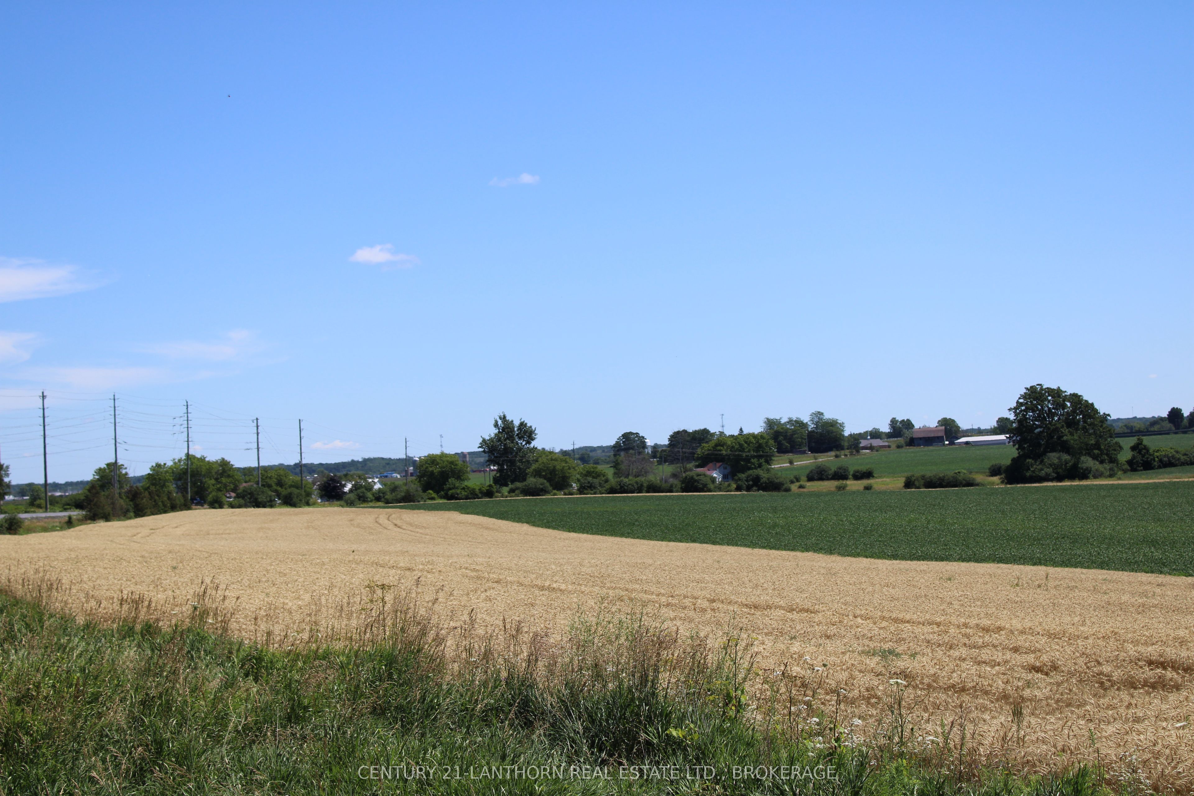 Lt15-16 County Road 1 Property Photo 4