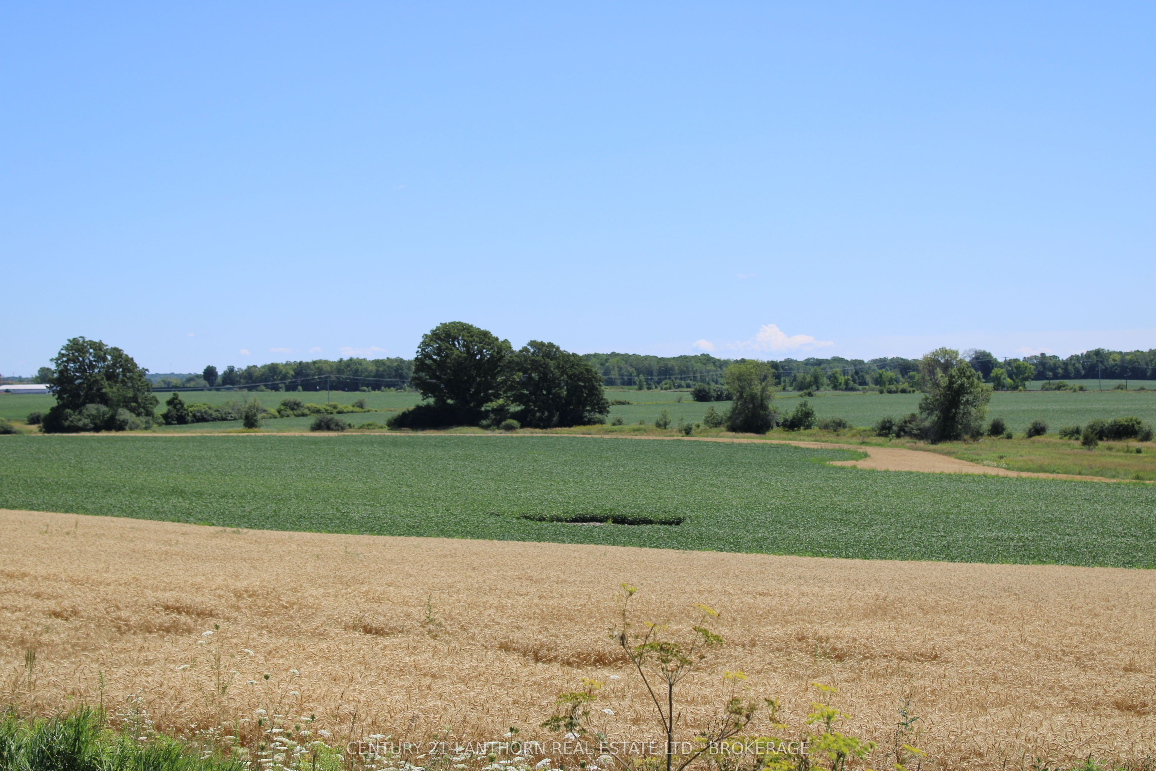 Lt15-16 County Road 1 Property Photo 6