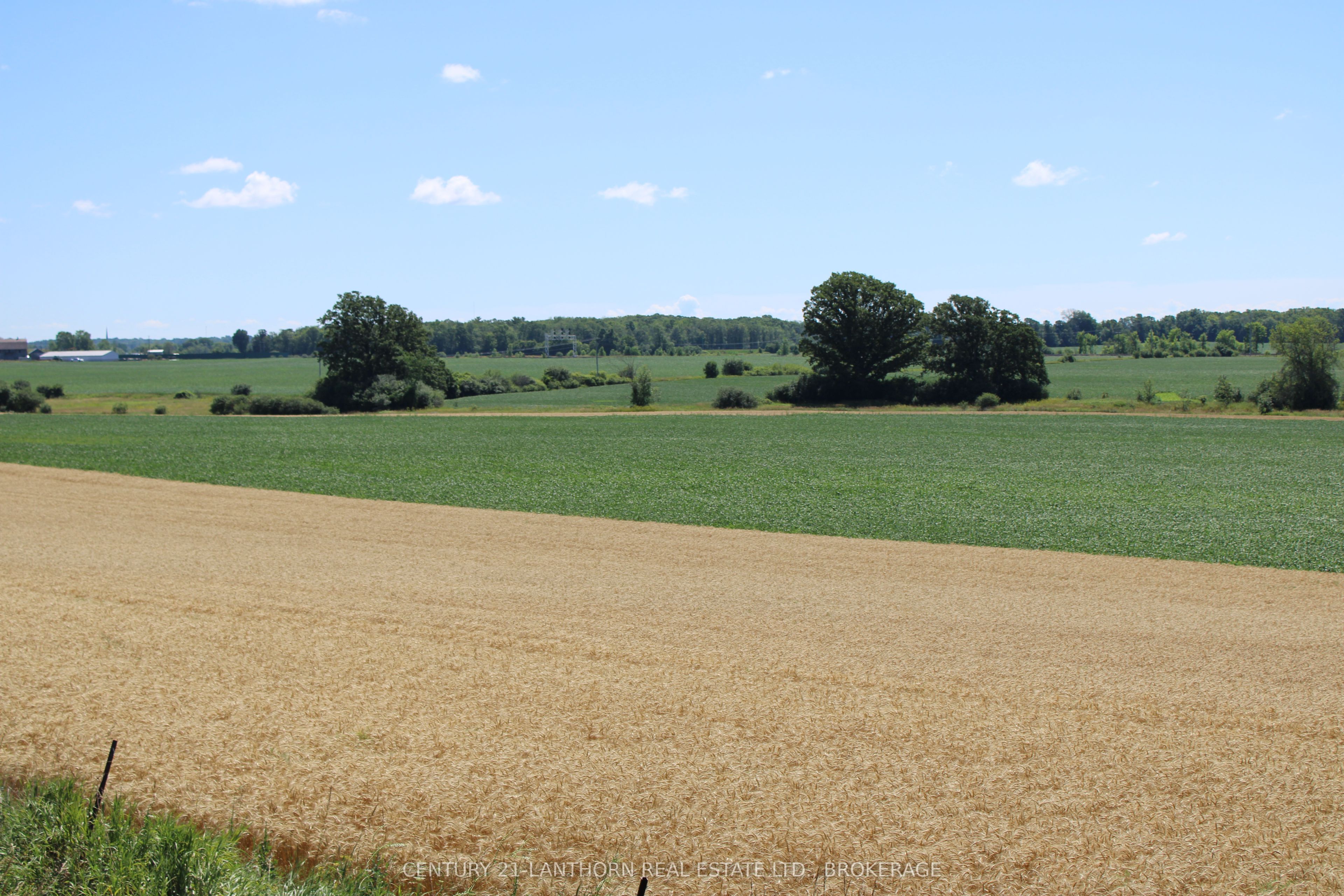 Lt15-16 County Road 1 Property Photo 8
