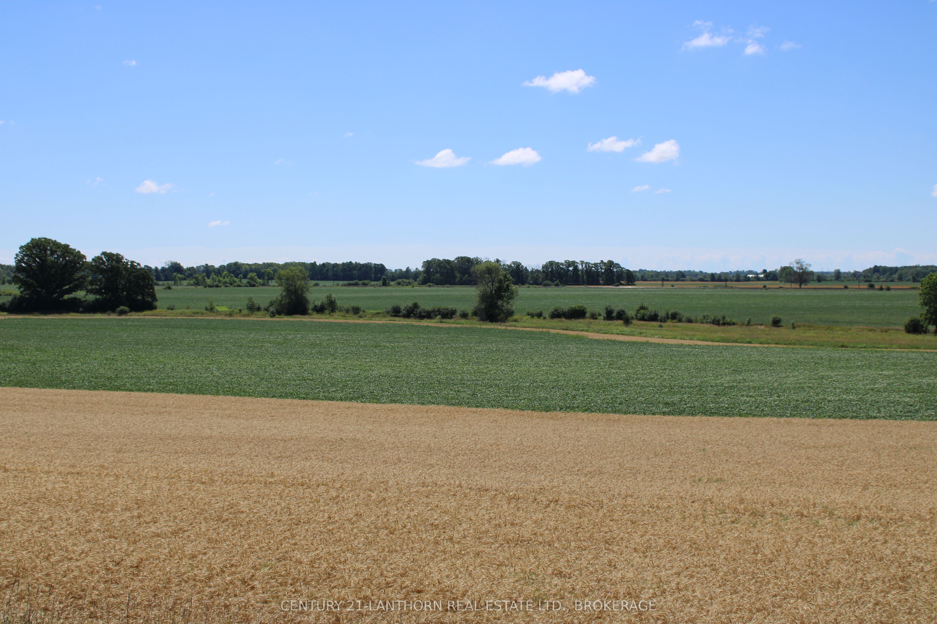 Lt15-16 County Road 1 Property Photo 11