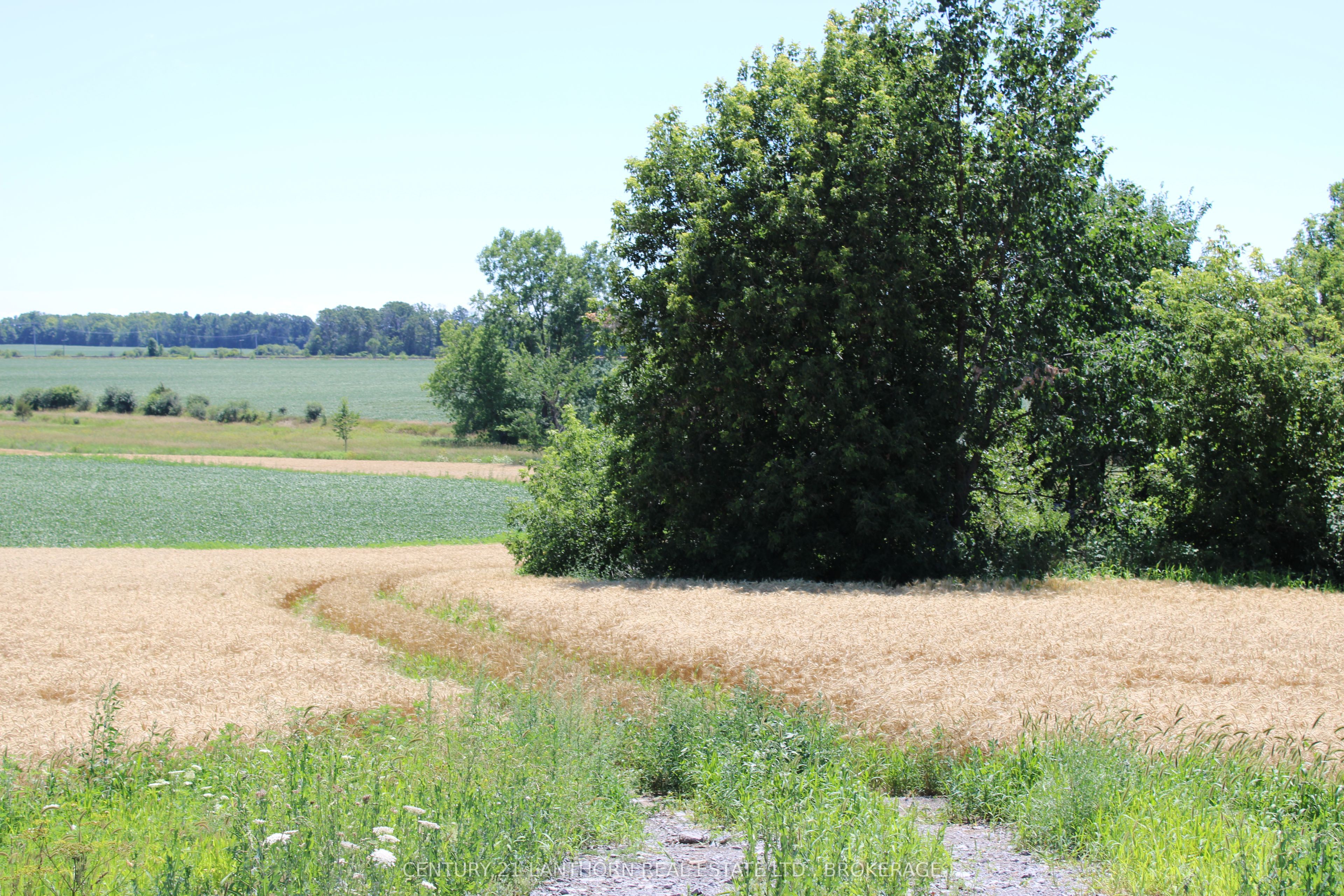 Lt15-16 County 1 Road Property Photo 8