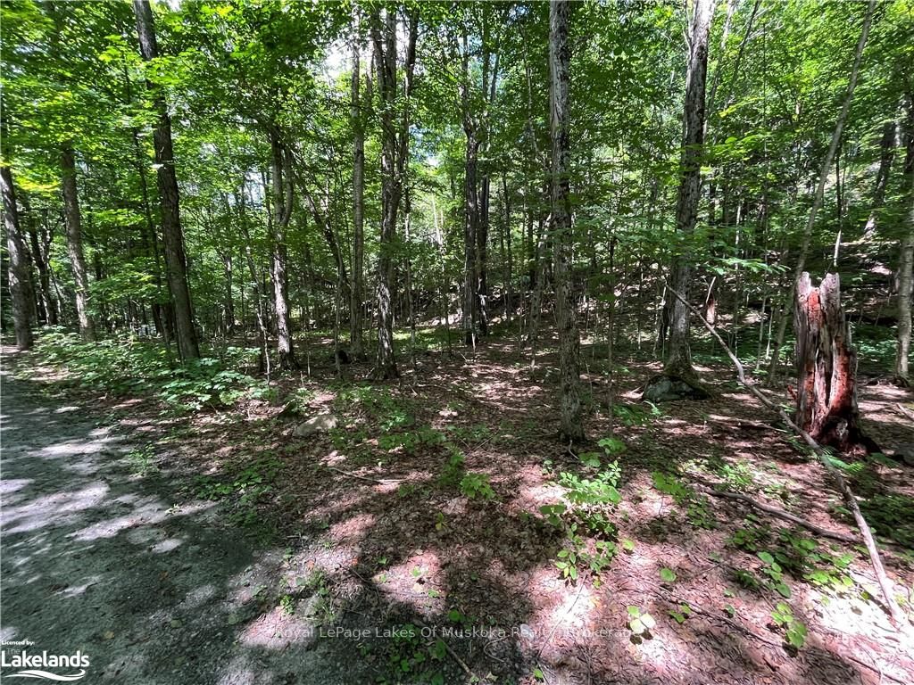 Lot 134 Brennan Circle Property Photo 2
