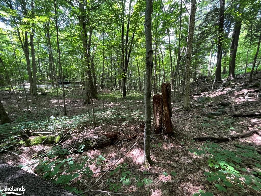 Lot 134 Brennan Circle Property Photo 3