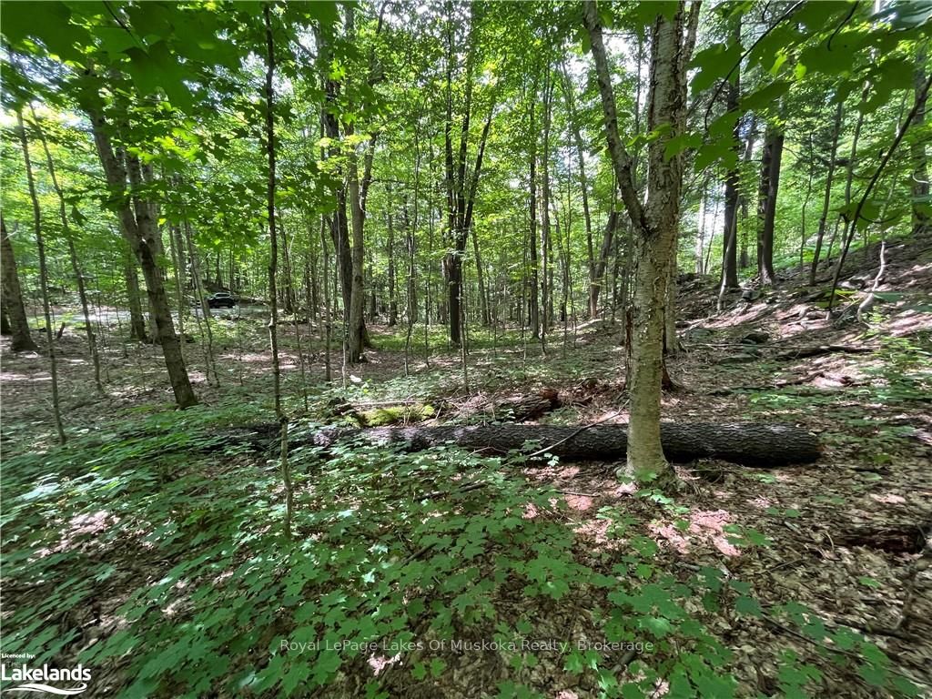Lot 134 Brennan Circle Property Photo 4