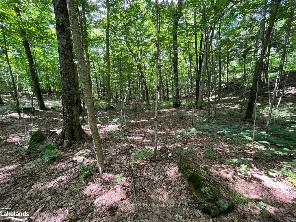 Lot 134 Brennan Circle Property Photo 5