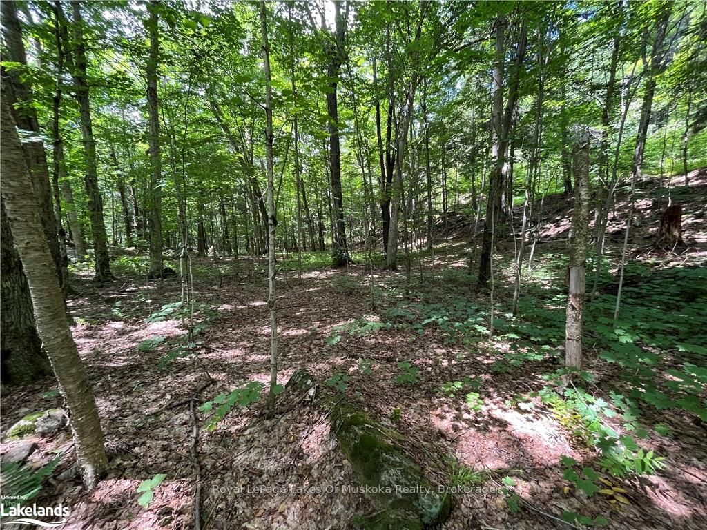 Lot 134 Brennan Circle Property Photo 6
