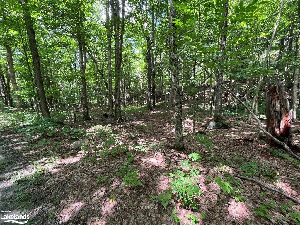 Lot 134 Brennan Circle Property Photo 7