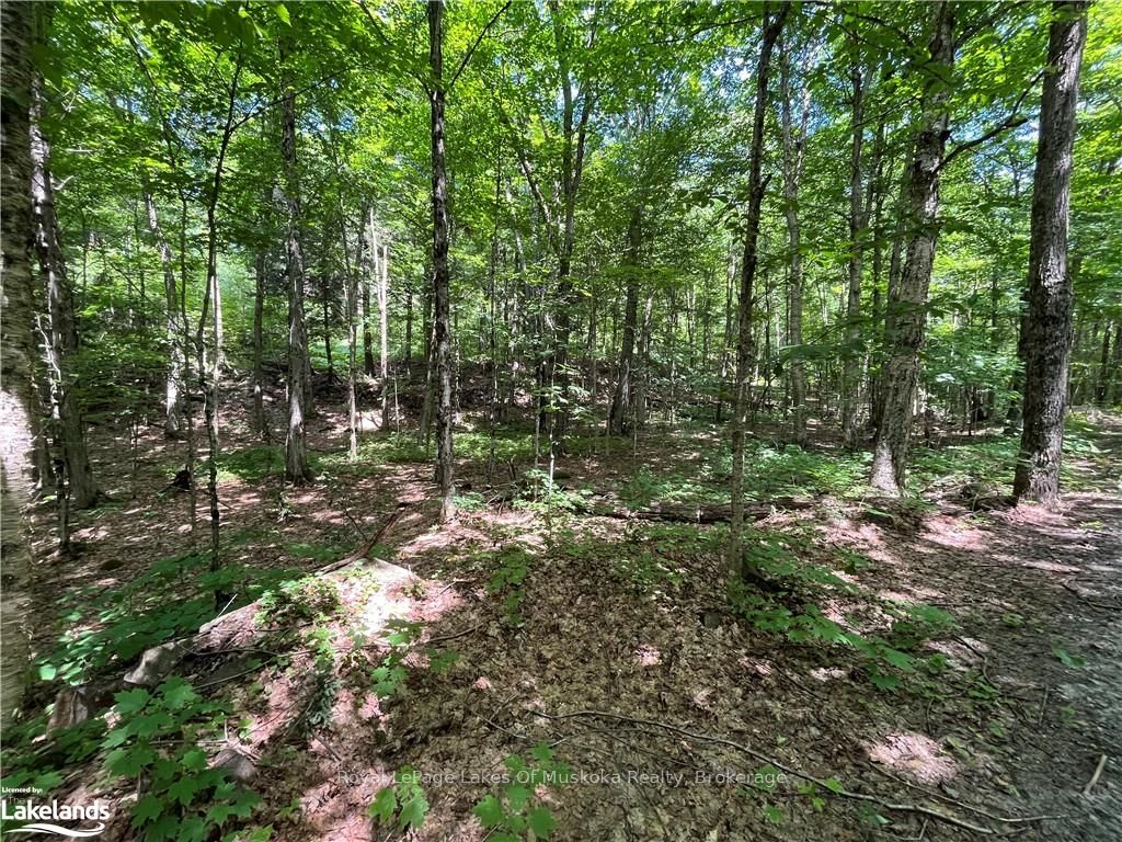 Lot 134 Brennan Circle Property Photo 8